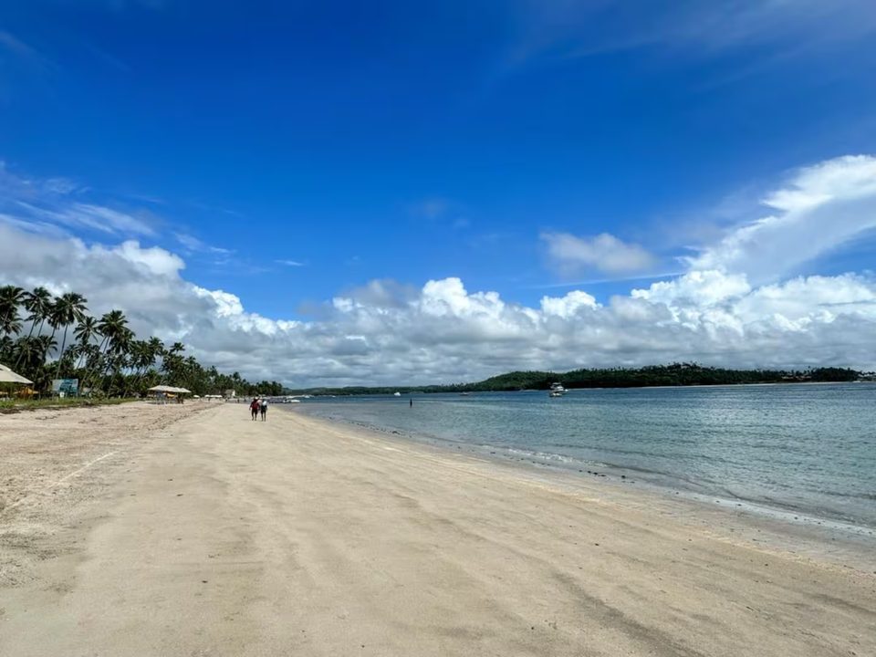Faixa larga de areia da Praia dos Carneiros com uma ilha visível no horizonte.
